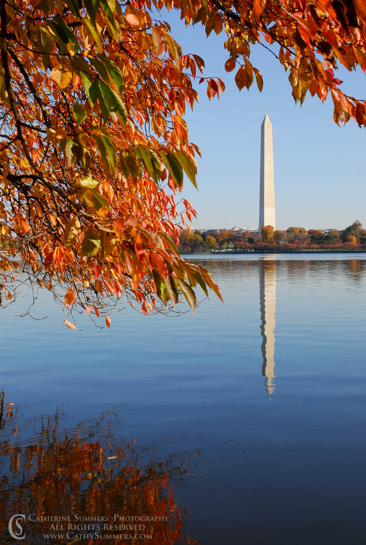 DC_2006_004: vertical, DC, Tidal Basin, Washington, cherry trees, reflection, autumn, Washington Monument