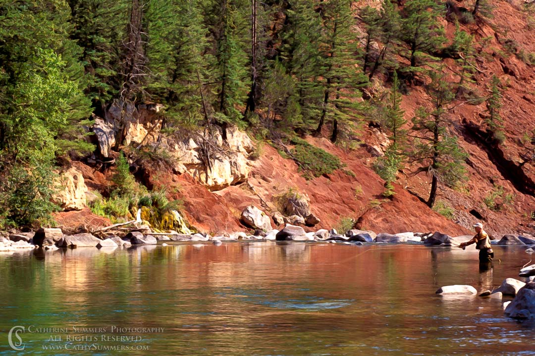 Fishing on the North Fork of the Sun River just above the Gorge: Bob Marshal Wilderness, Montana