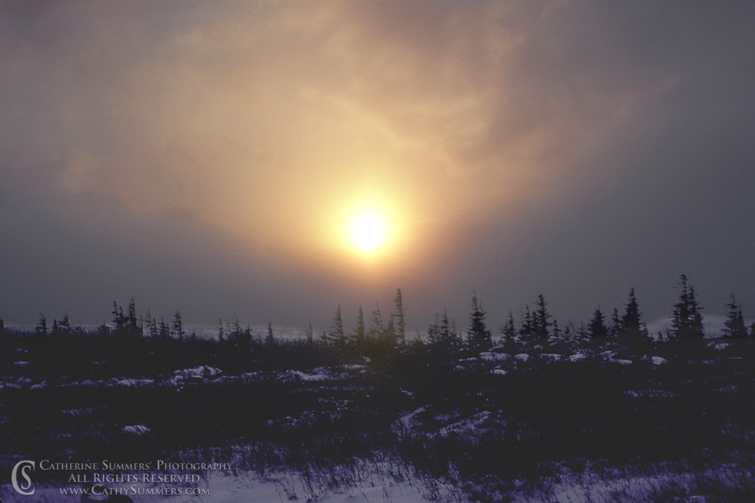 Sun Obscured by a Winter Storm: Dolly Sods, West Virginia