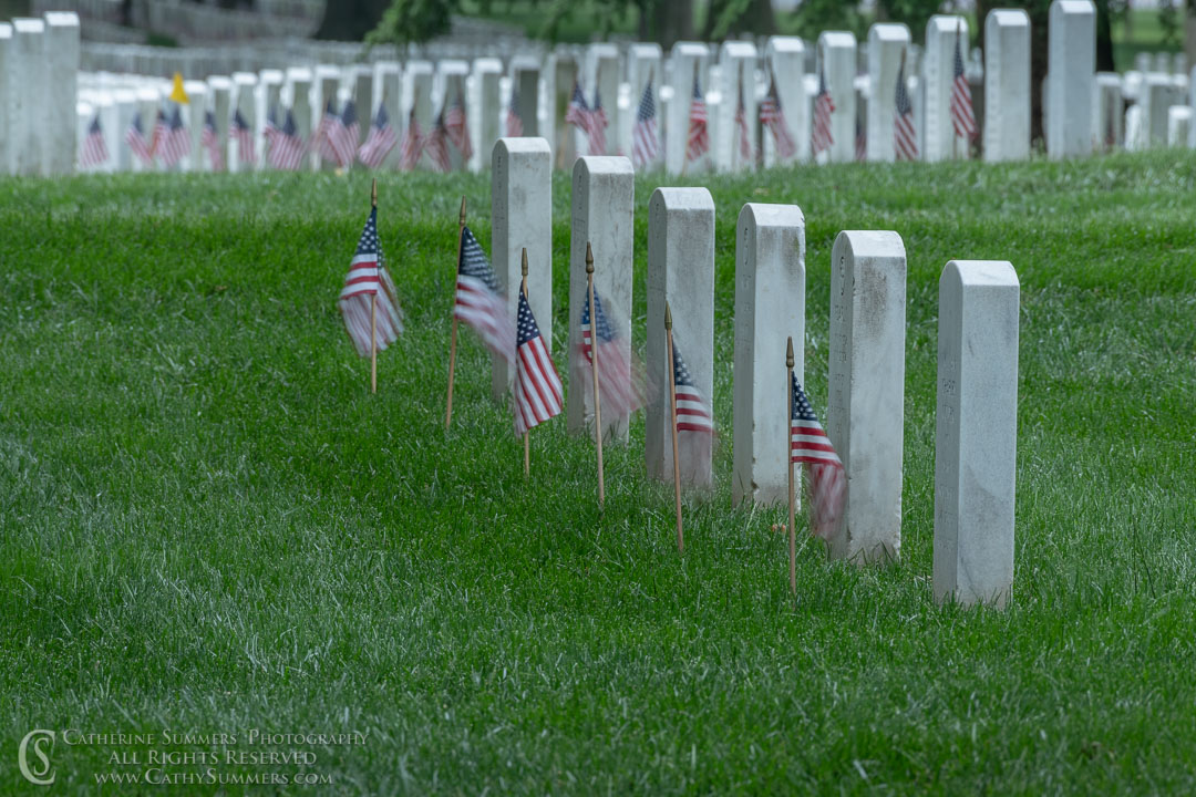 Memorial Day at Arlington National Cemetery