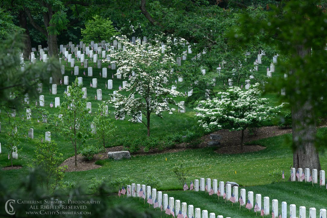 Memorial Day at Arlington National Cemetery