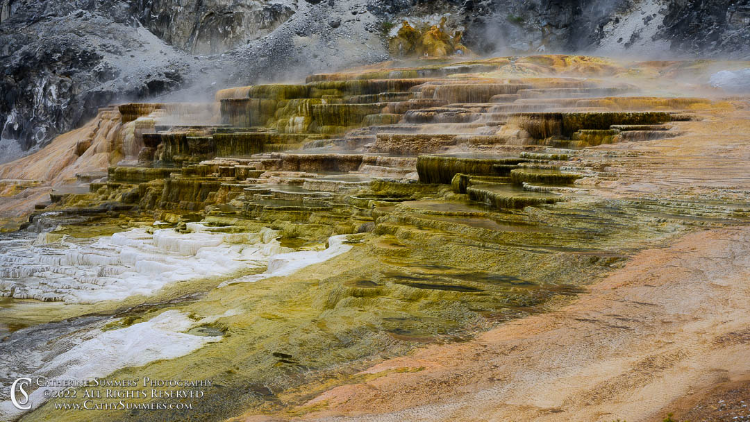 Colors and Patterns of Minerva Spring - Mammoth Hot Springs, Yellowstone National Park