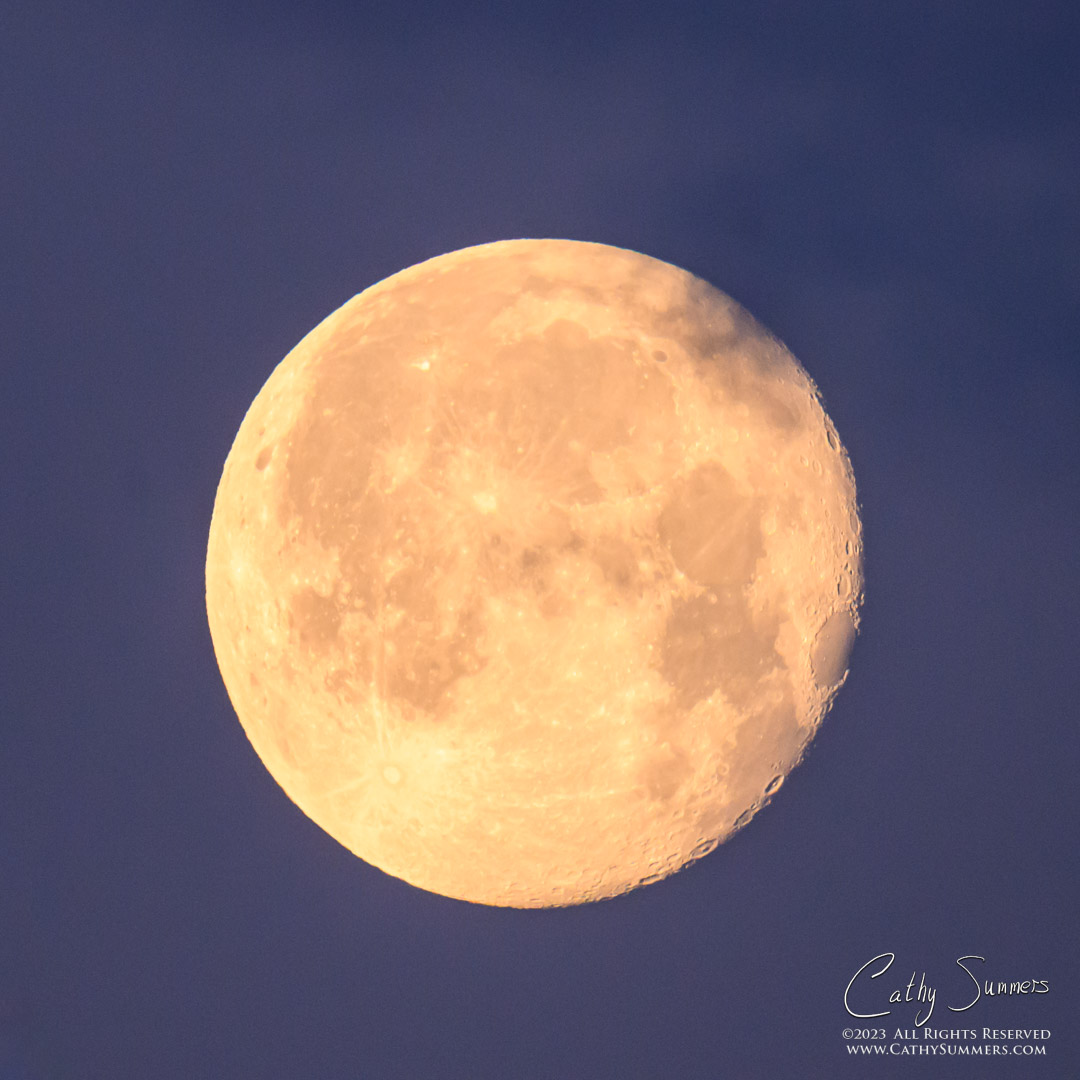 Wanning Gibbous Moon Near Moonset