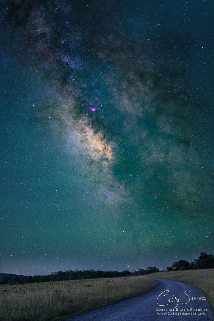 Milky Way Core Over Big Meadows on a Summer Night