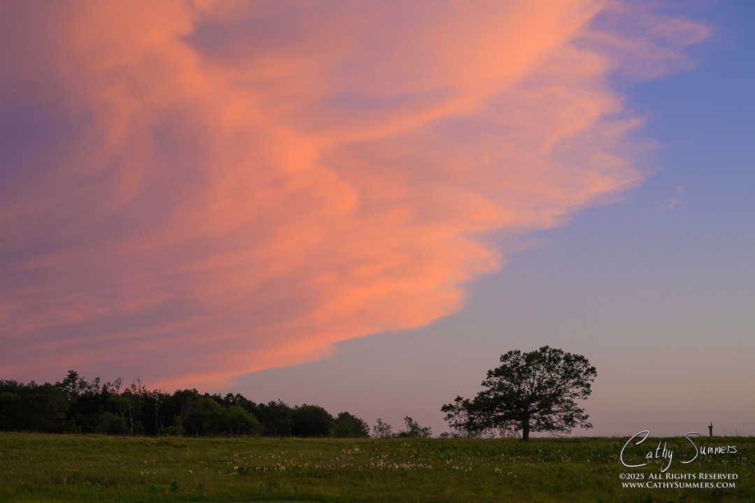 Sunset Lights the Clouds Over Big Meadows on a Summer Night