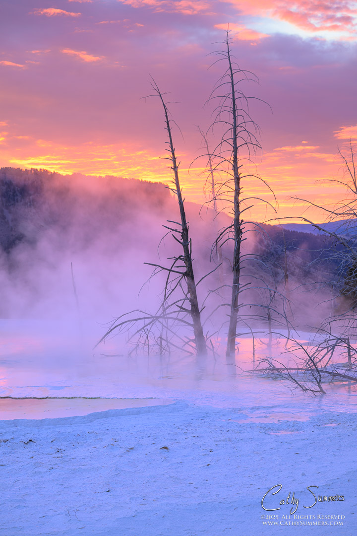 Dawn at Canary Spring, Mammoth Hot Springs, Yellowstone National Park