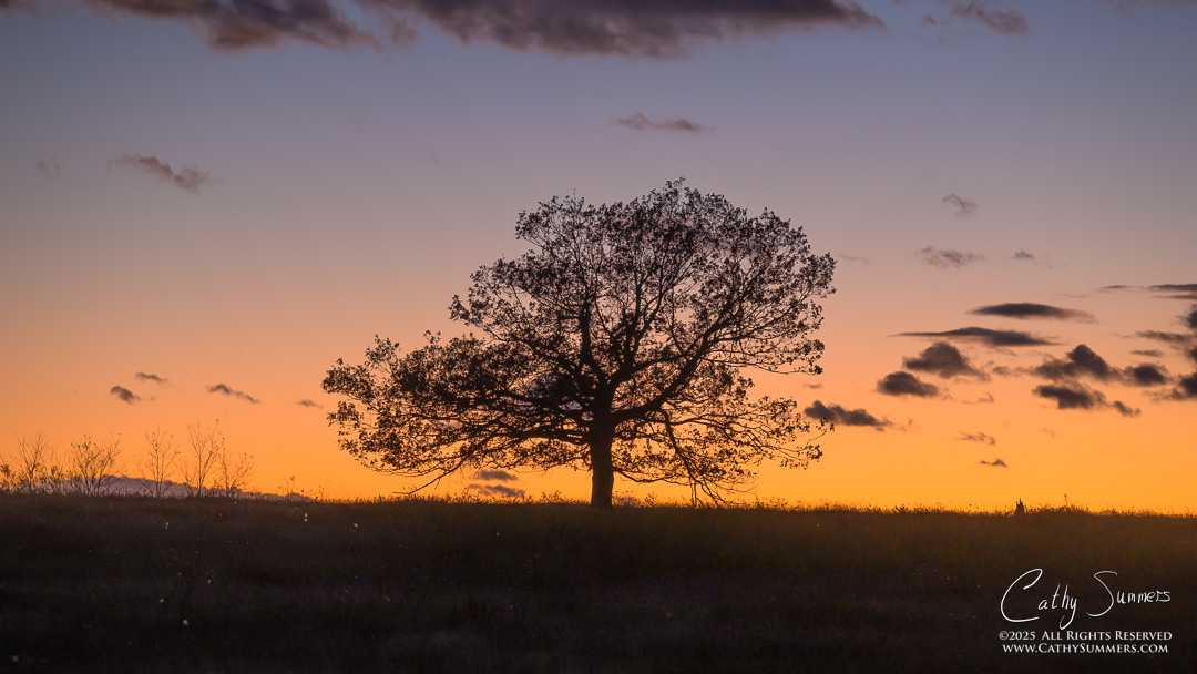 Autumn Sunset at Big Meadows, Shenandoah National Park