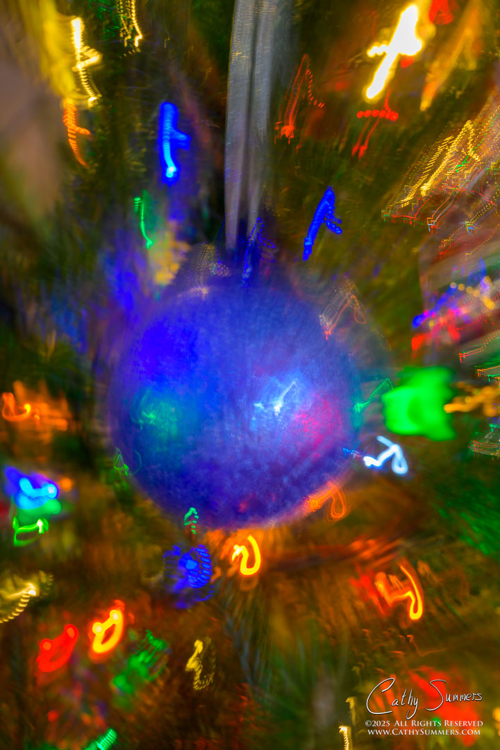 Christmas Tree Zoom / ICM