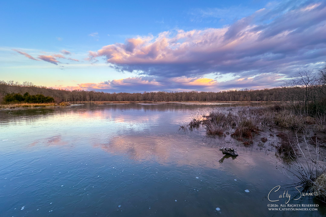 Cold Morning at Huntley Meadows