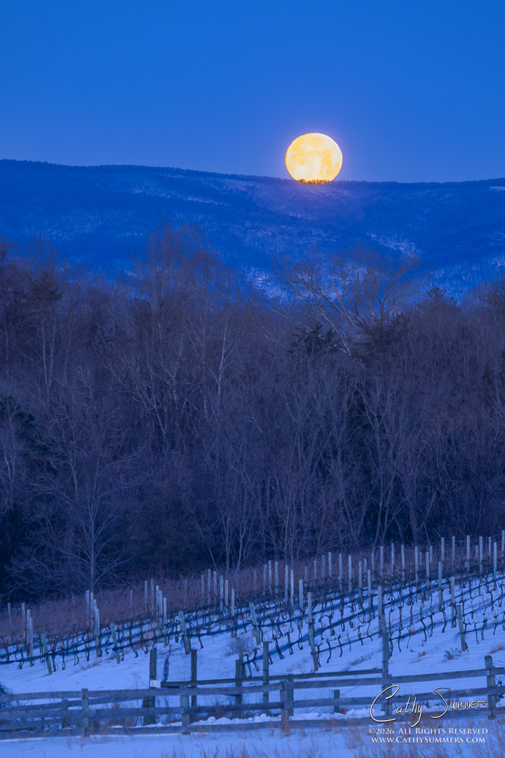 Snow Moon Setting Over Sugar Hollow from Knole