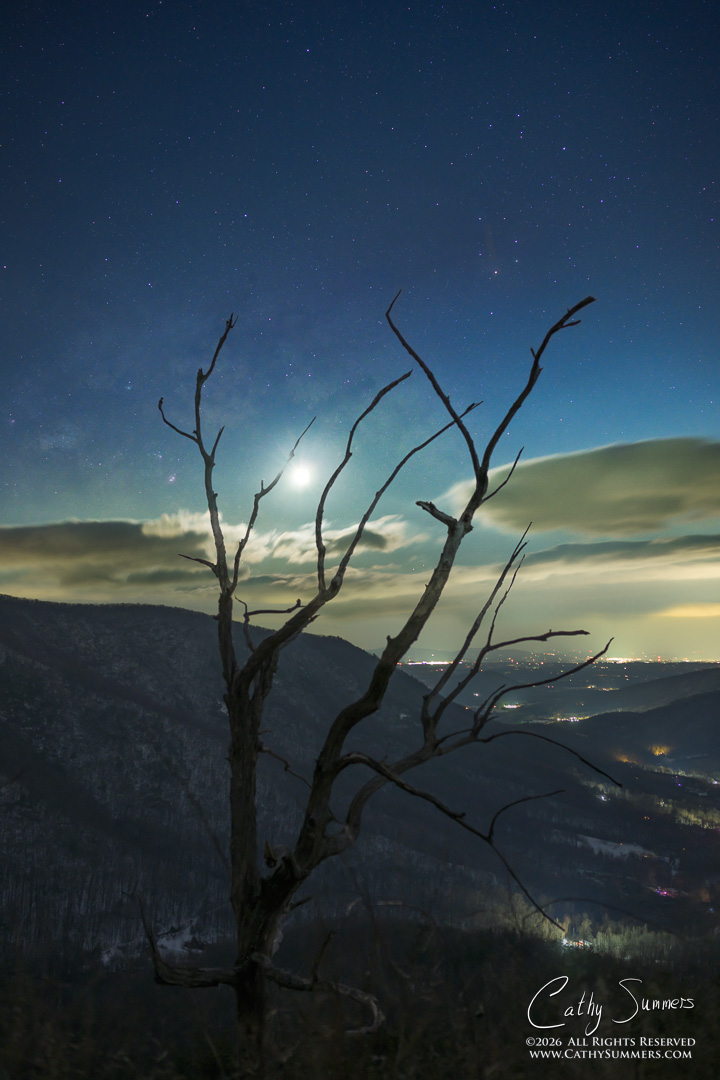 Waning Crescent Moon Washes Out the Milky Way at Bacon Hollow Overlook, Shenandoah National Park - Composite Photograph