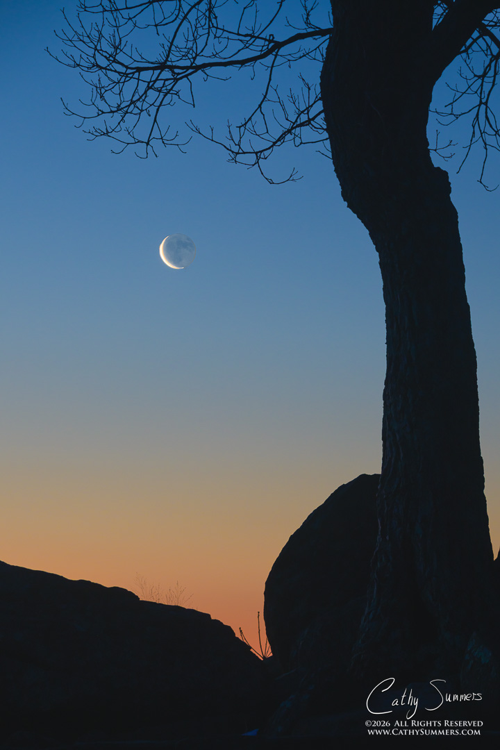 Crescent Moon Rising at Hazel Mountain Overlook, Shenandoah National Park, Composite Photo (Focus Stack and Exposure Blend)