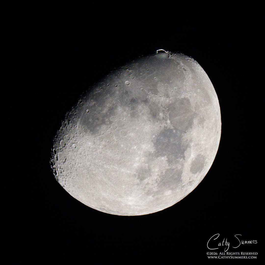 Lunar clair-obscur / Jewelled Handle