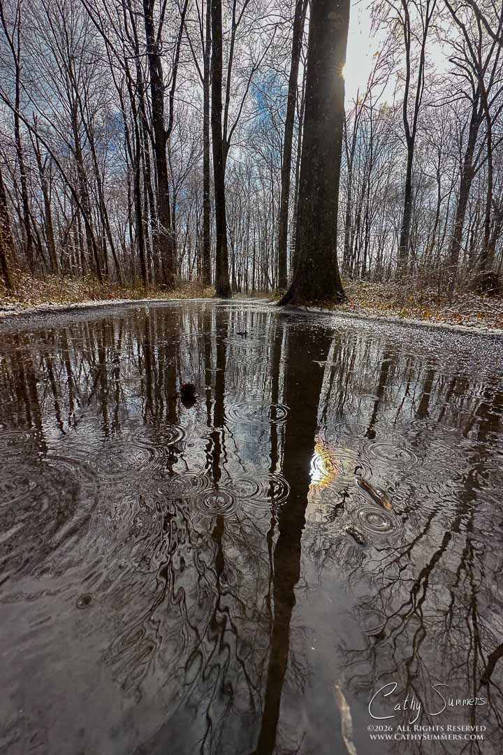 And Then The Sun Came Out