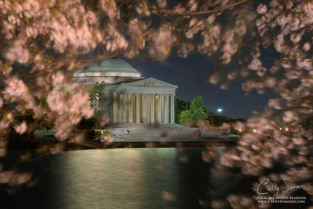Cherry Blossoms and Jefferson Memorial Before Dawn - Composite Photo / Exposure Blend