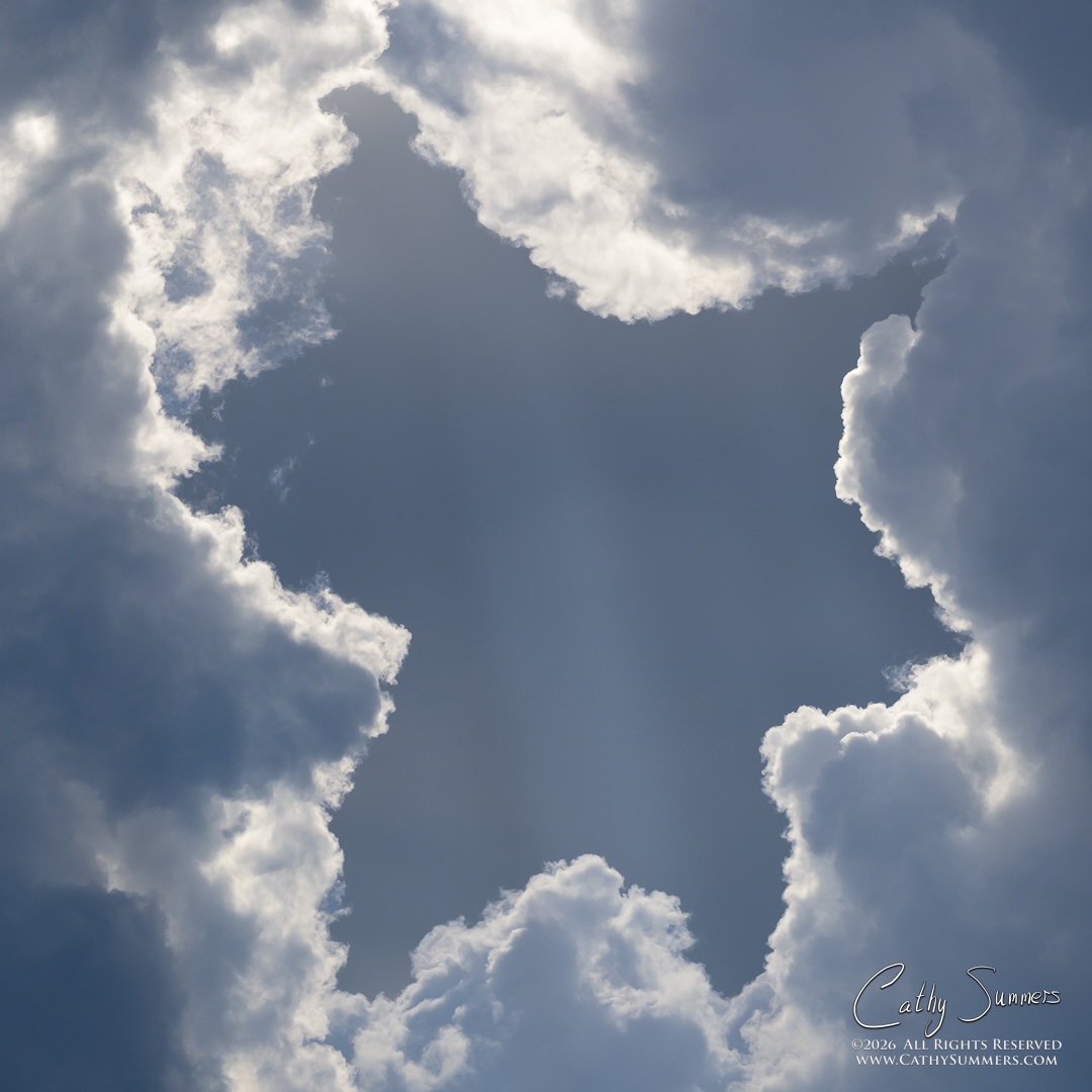 A Break in a Gathering Storm
