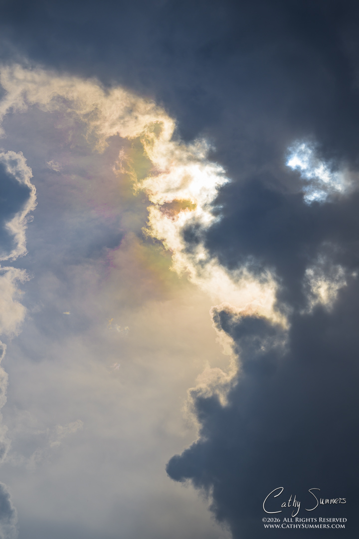 Sunlight and a Gathering Storm