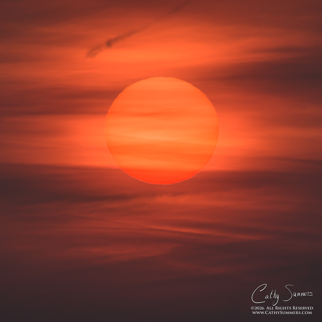 Rising Sun in the Wildfire Smoke